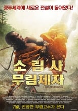 Poster for Man from Shaolin