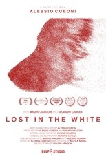 Lost in the White main poster
