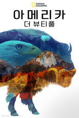 아메리카 더 뷰티풀