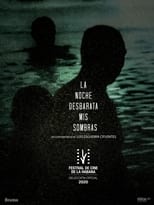 Poster for La Noche Desbarata mis Sombras 