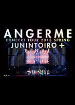 ANGERME Concert Tour 2018 Haru Juunin Toiro + Final poster