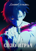 Соло играч