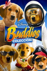 Buddies Collection