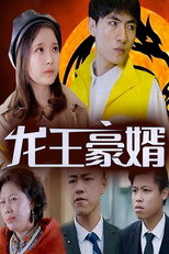 龙王豪婿 poster