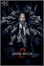 John Wick: Kapitel 2: Nur noch das Auto zurückholen, dann will sich John Wick zurück in den Ruhestand verabschieden. Doch nachdem der Ex-Auftragskiller sein geliebtes Gefährt wieder und sich mit Abram geeinigt hat, dem Bruder seiner Nemesis Viggo Tarasov geht es für Wick erst richtig los. Wicks ehemaliger Kollege Santino steht vor der Tür und gibt ihm eine mit Blut besiegelte Münze. Wie der Einzelkämpfer weiß, steht das Geldstück für ein Versprechen, das Wick einst gab – das Versprechen von Hilfe als Gegenleistung für einen alten Gefallen. Und auch wenn der Killer seine Ruhe haben will, kann er schließlich nicht anders, als seine Zusicherung einzulösen, denn andernfalls droht ihm der Tod. Wick geht nach Rom, wo Santinos Schwester Gianna in die Riege der einflussreichsten Gangsterbosse kommen will... John Wick: Kapitel 2: Nur noch das Auto zurückholen, dann will sich John Wick zurück in den Ruhestand verabschieden. Doch nachdem der Ex-Auftragskiller sein geliebtes Gefährt wieder und sich mit Abram geeinigt hat, dem Bruder seiner Nemesis Viggo Tarasov geht es für Wick erst richtig los. Wicks ehemaliger Kollege Santino steht vor der Tür und gibt ihm eine mit Blut besiegelte Münze. Wie der Einzelkämpfer weiß, steht das Geldstück für ein Versprechen, das Wick einst gab – das Versprechen von Hilfe als Gegenleistung für einen alten Gefallen. Und auch wenn der Killer seine Ruhe haben will, kann er schließlich nicht anders, als seine Zusicherung einzulösen, denn andernfalls droht ihm der Tod. Wick geht nach Rom, wo Santinos Schwester Gianna in die Riege der einflussreichsten Gangsterbosse kommen will...
