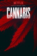 Cannabis Saison 1