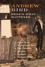 Andrew Bird: Here's What Happened