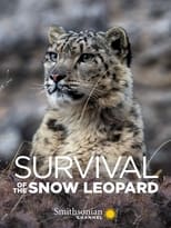 Poster for Survival Of The Snow Leopard 