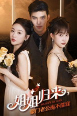 姐姐归来，豪门老公夜不能寐 poster