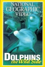 Poster for Dolphins: The Wild Side