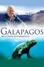 Poster for Galapagos 3D with David Attenborough