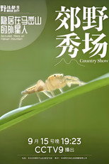 野性都市 poster