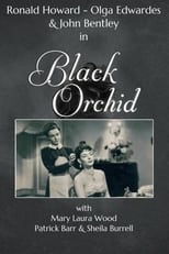 Poster for Black Orchid 