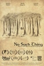 Poster for No Such Thing