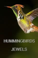 Poster for Hummingbirds Jewels