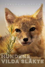 Hundens vilda släkte