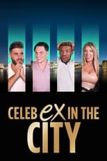 Poster for Celeb Ex in the City