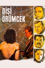 Poster for Dişi Örümcek