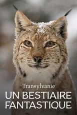 Poster for Transylvanie, un bestiaire fantastique 