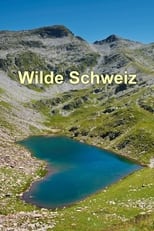 Poster for Wilde Schweiz
