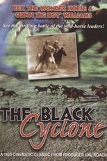 Poster for Black Cyclone 