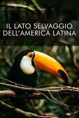 Il lato selvaggio dell'America Latina poster