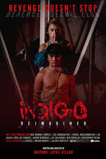 Indigo: Reimagined poster