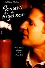 Flowers for Algernon (2000)