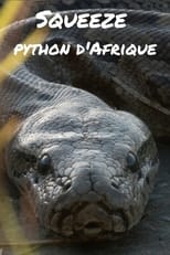 Poster for Squeeze : python d'Afrique 