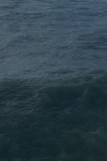 Twenty Nine Minutes at Sea