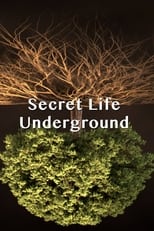 Poster for Secret Life Underground