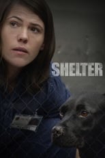 Poster for Shelter