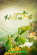 灿烂的季节 poster