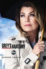 Poster for Grey's Anatomy Season 12
