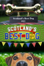 Scotland’s Best Dog poster