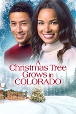 Poster for A Christmas Tree Grows in Colorado 