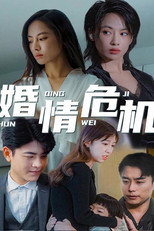 婚情危机 poster
