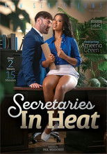 Secretaries In Heat