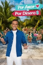 Poster for Por Amor o Por Dinero