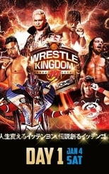 Poster for NJPW Wrestle Kingdom 14: Night 1