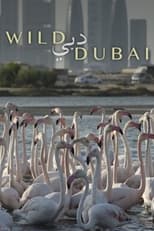 Poster for Wild Dubai