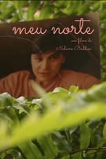 Poster for Meu Norte 