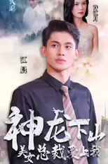 神龙下山美女总裁爱上我 poster