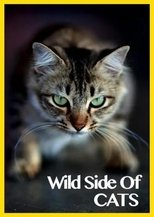 Poster for Wild Side of Cats 