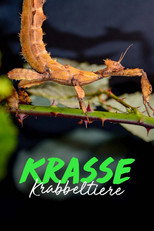 Krasse Krabbeltiere