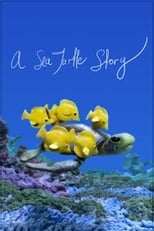 Poster for A Sea Turtle Story