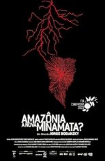 Poster for Amazônia, A Nova Minamata?