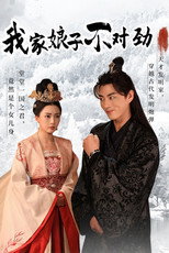 我家娘子不对劲 poster
