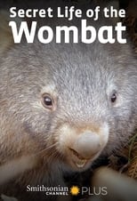 Poster for Secret Life of the Wombat