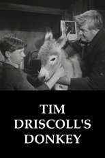 Poster for Tim Driscoll's Donkey